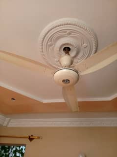 Royal Ceiling fan used. .