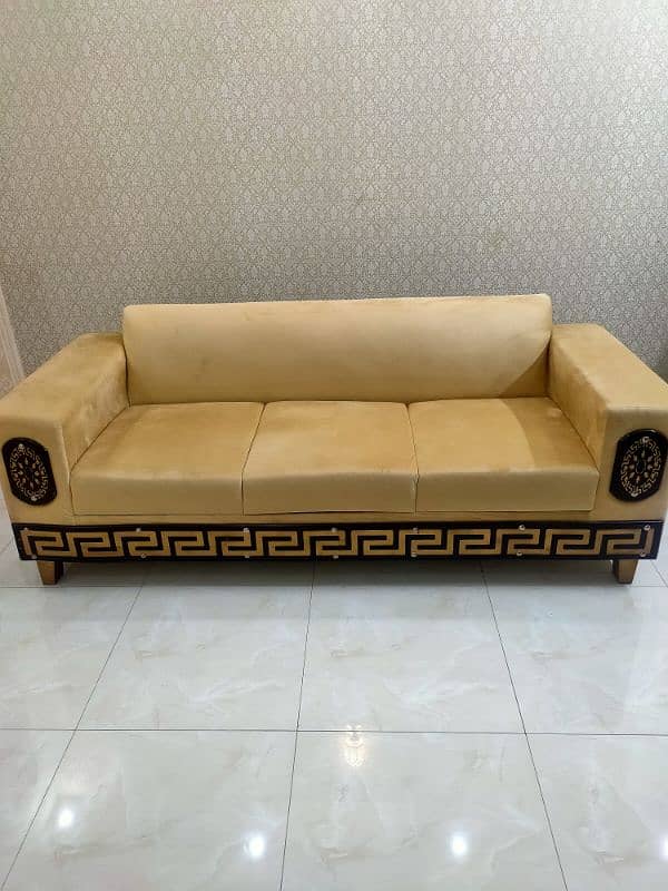 Sofa Set with cushions and cover 6