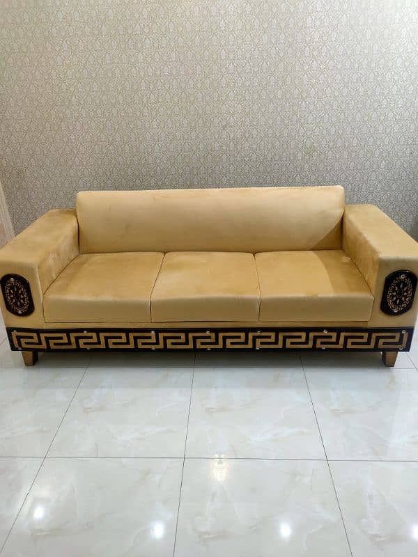 Sofa Set with cushions and cover 9