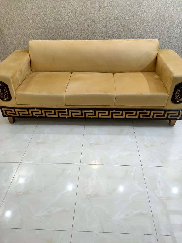 Sofa Set with cushions and cover 15