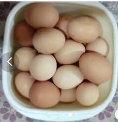 Desi  Eggs for sale