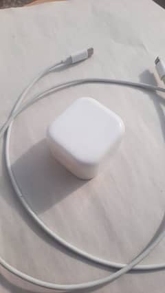 Genuine Apple Charger