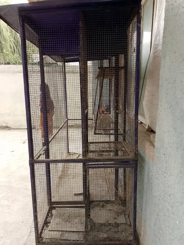 Birds Master Cage 1