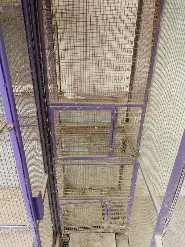 Birds Master Cage 2