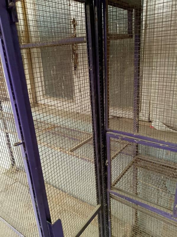 Birds Master Cage 3