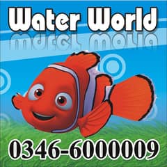 WaterWorld Fish Aquariums