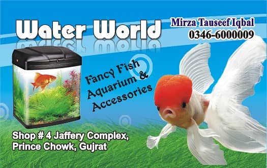 WaterWorld Fish Aquariums 1