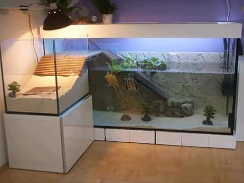 WaterWorld Fish Aquariums 10