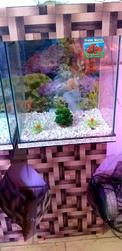 WaterWorld Fish Aquariums 16