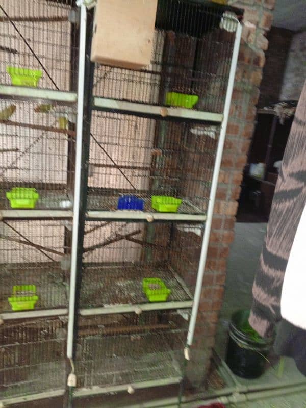 love birds cage 0321/4525537 2