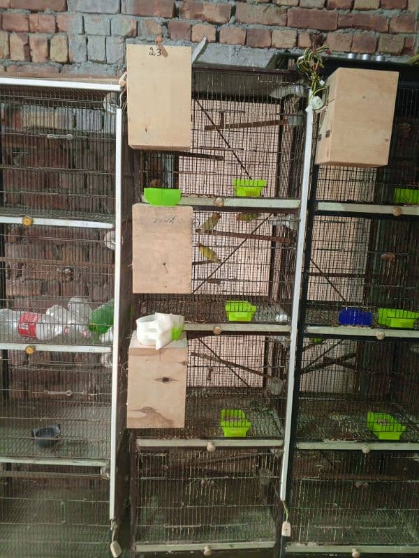 love birds cage 0321/4525537 3