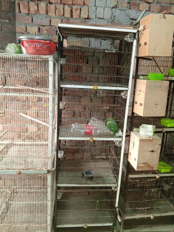 love birds cage 0321/4525537 4