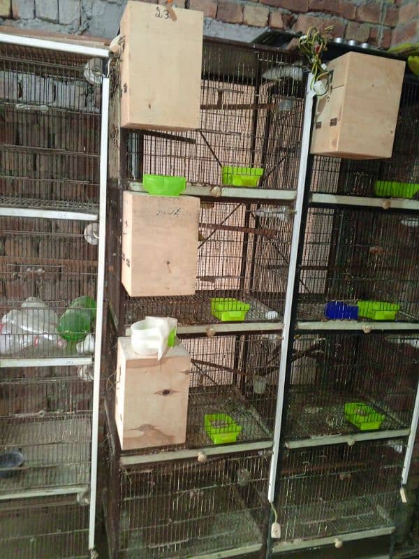 love birds cage 0321/4525537 5