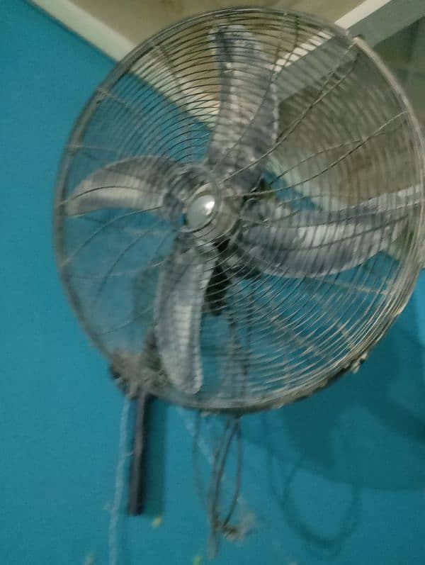 Royal fan in good condition 0