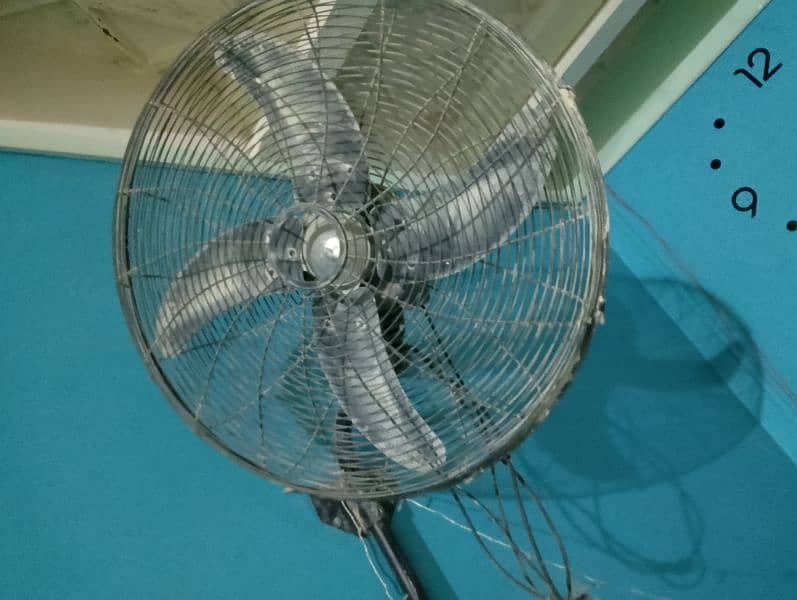 Royal fan in good condition 1