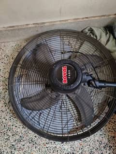 fan