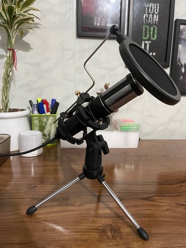 Depusheng USB Microphone with Pop Filter and Tripod 0