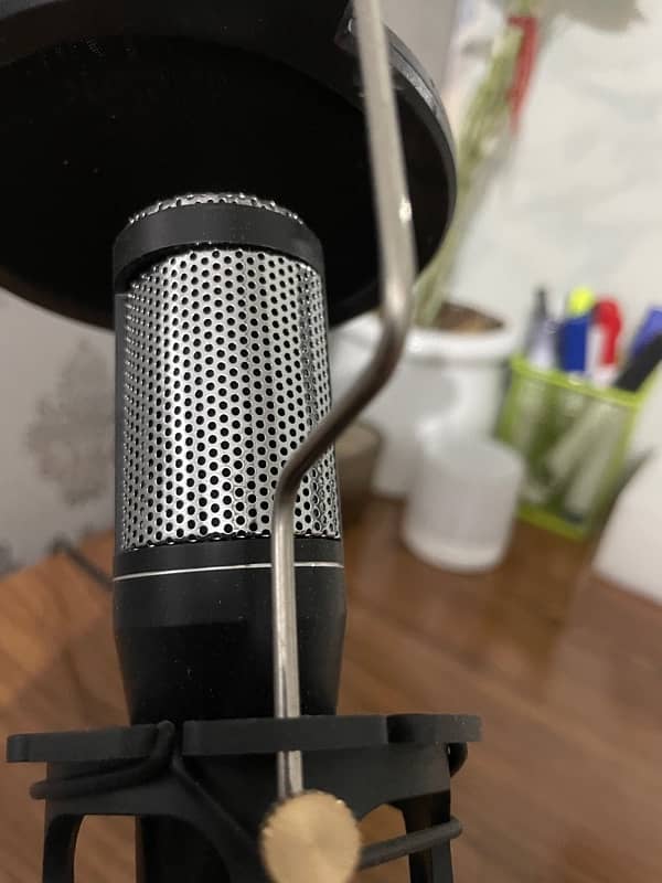 Depusheng USB Microphone with Pop Filter and Tripod 1