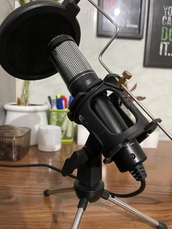 Depusheng USB Microphone with Pop Filter and Tripod 2