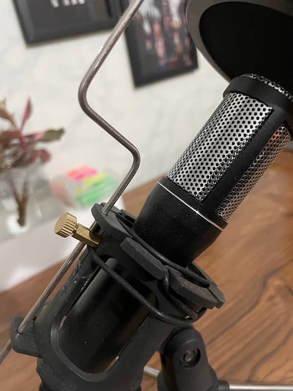 Depusheng USB Microphone with Pop Filter and Tripod 4