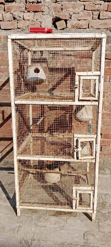 Parrots Cage Iron 0