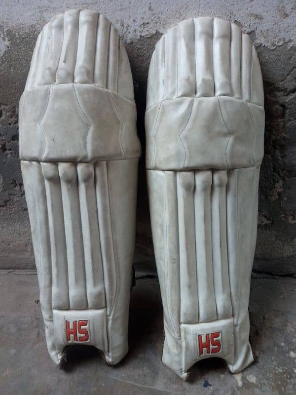 cricket kit bag Thai gloves pads 0