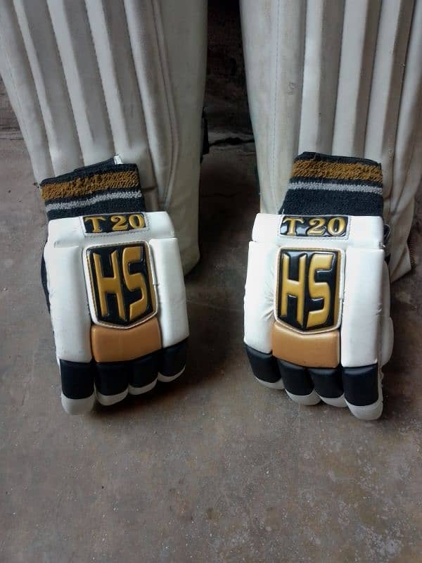 cricket kit bag Thai gloves pads 4