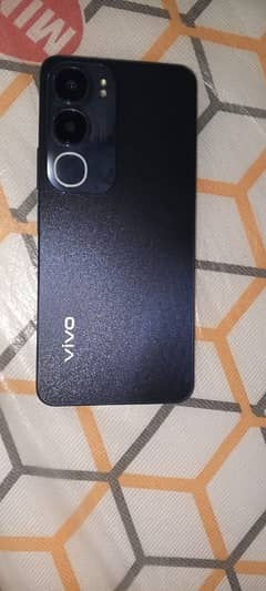 Vivo y 19s