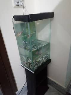 2 Fish Aquariums for sale