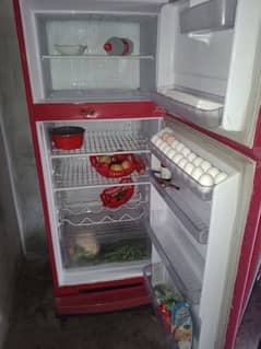 Singer Refrigerator 0333 7891026