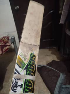 cricket bat