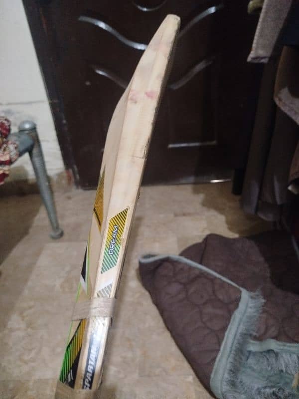 cricket bat 1