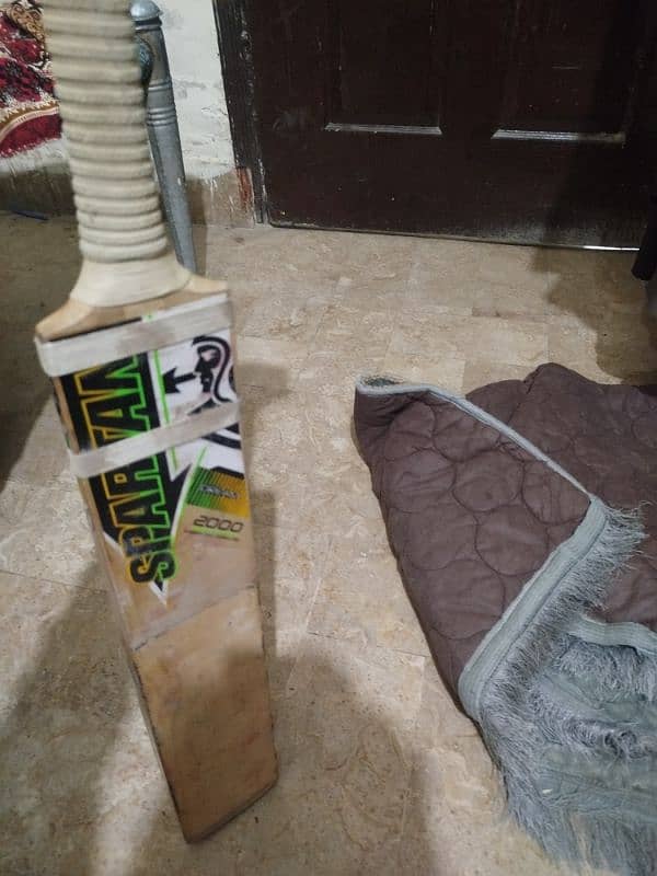 cricket bat 2