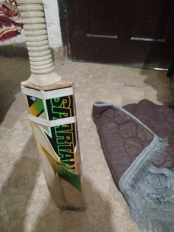 cricket bat 3