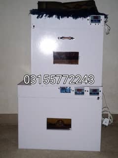 manual & automatic incubator, brooder 50,100,150,240,320,500 eggs