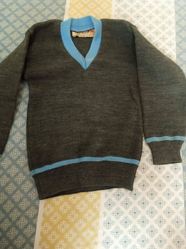 Karachi public school sweaters 0