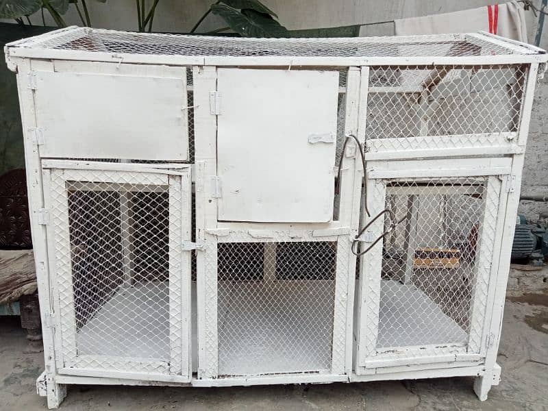 wooden, hens chicks cage double portion urgent sale 1