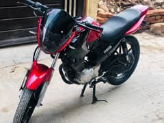 yahama ybr 125 sports look model 2019 urgent sale