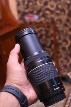 Canon 75 300 outdoor Background Bluring lens