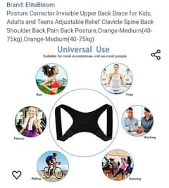 posture belt