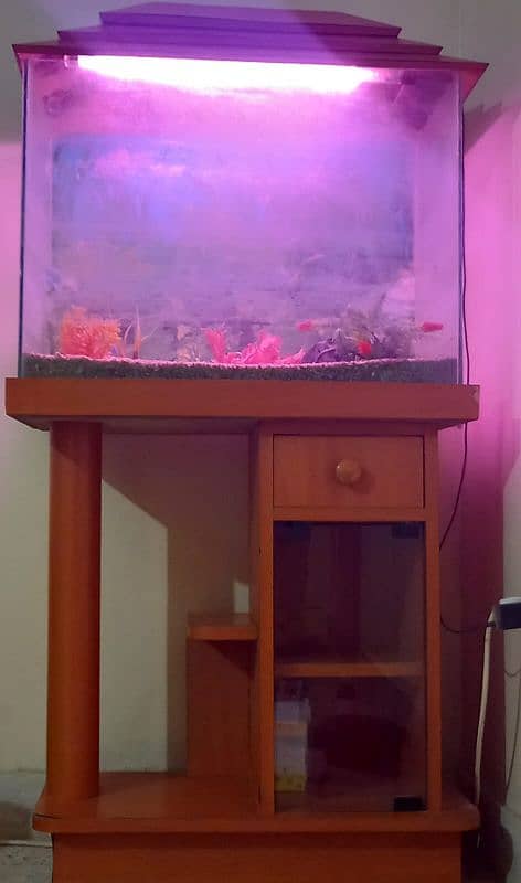 Fish Aquarium 2