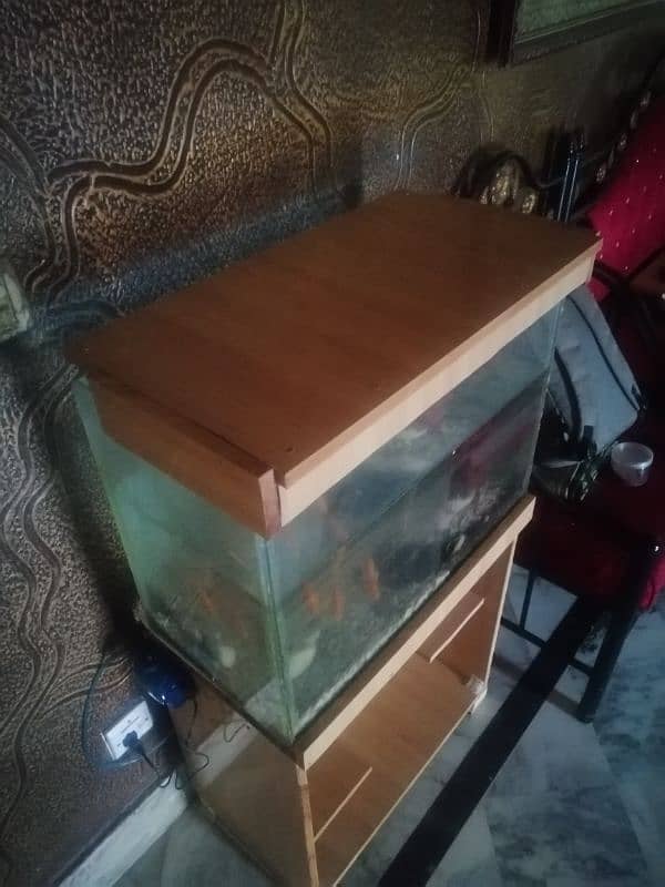 Fish Aquarium setup 1