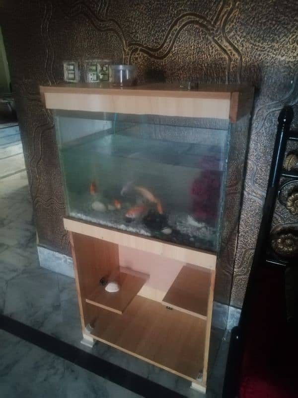 Fish Aquarium setup 4