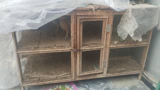 hen cage for sale size 3*6