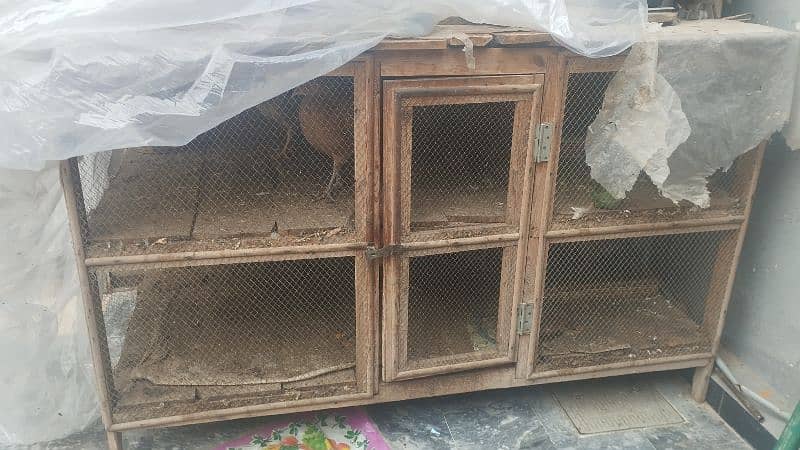 hen cage for sale size 3*6 0