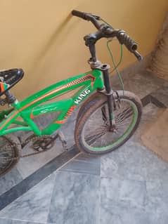 Loin Bicycle