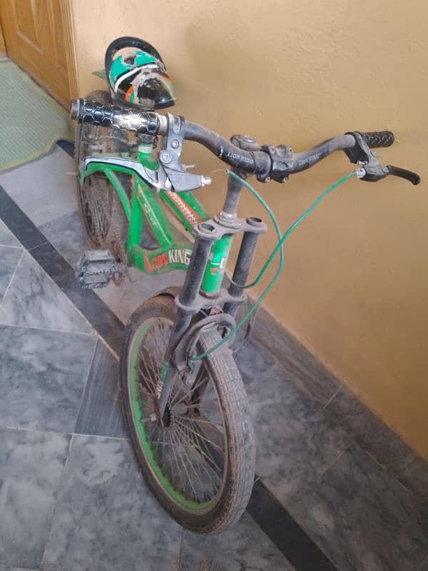 Loin Bicycle 2