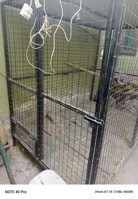 Cage For Lion And Dogs 1