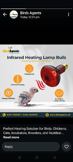 infrared Heating lamp blub 03084017127