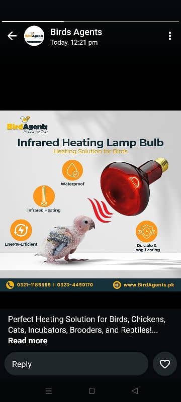 infrared Heating lamp blub 03084017127 0